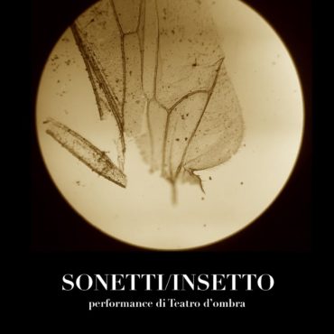 sonetti - insetto