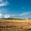 Pro Loco San Vincenzo a Torri Colline Scandiccesi – dal 26 giugno al 25 settembre