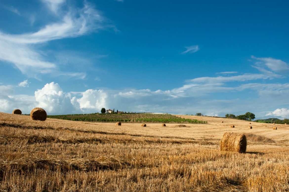 colline